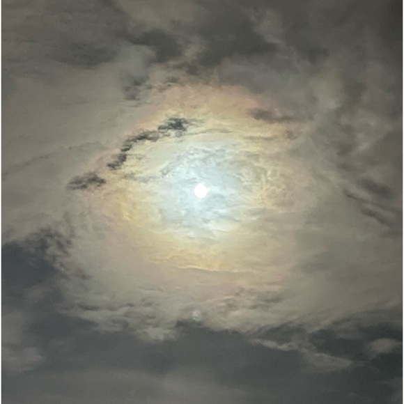 Meet your Posher, Dot. - Picture 12 of 16